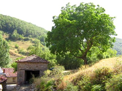 El Portalón y el Nogal de la Era
