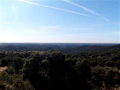 Views from Chapinería of south-west Madrid woods