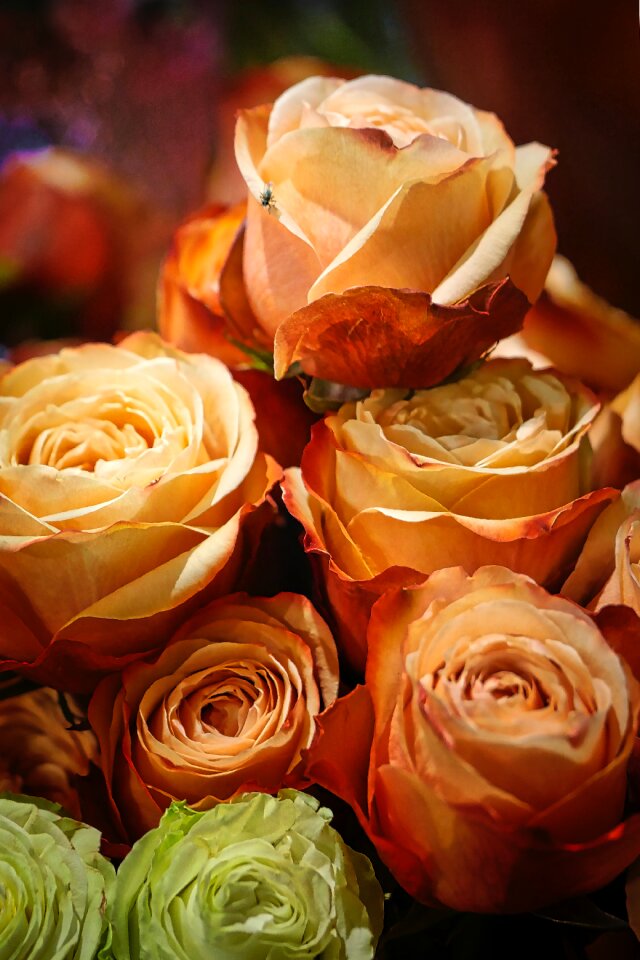 Bouquet flowers romance