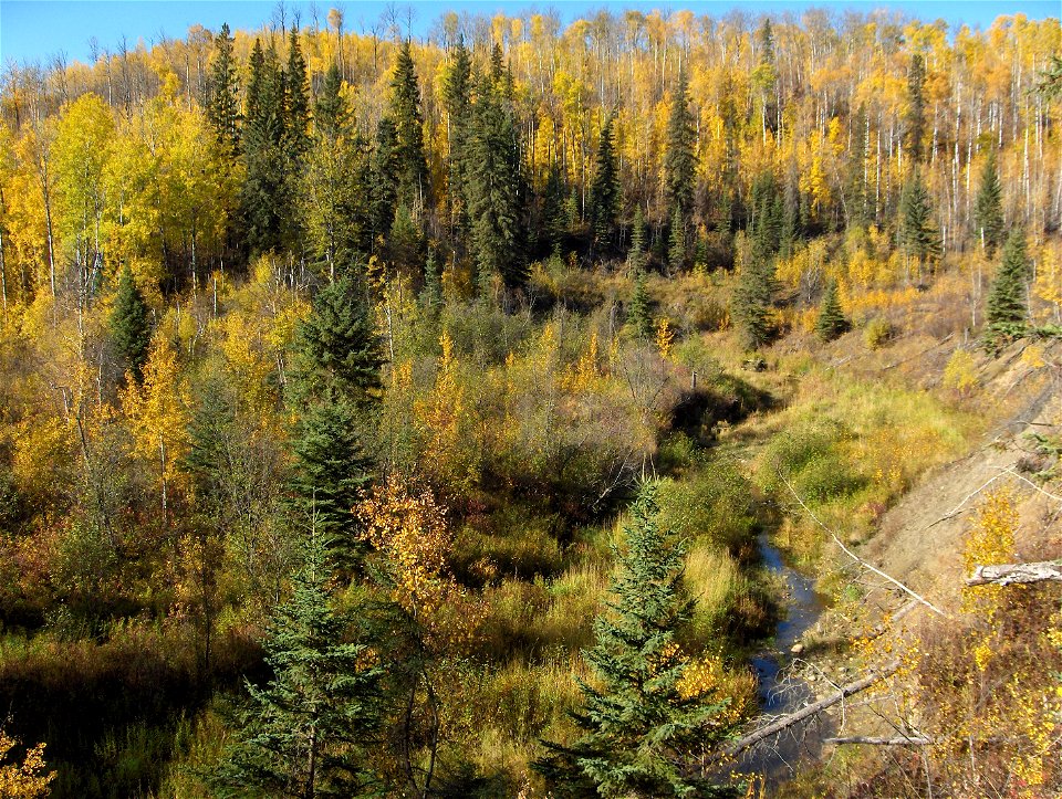 Muskeg Creek valley, Athabasca, Alberta, Canada, looking north from the east look out.