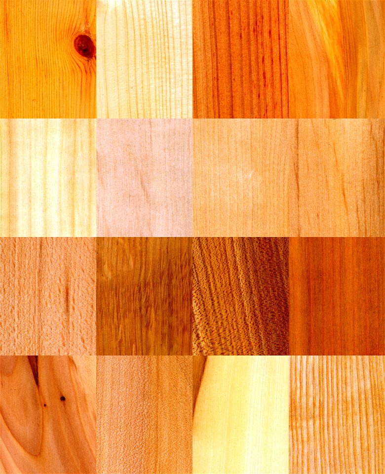 Wood samples
Pinus sylvestris (Scots Pine)
Picea abies (Norway Spruce)
Larix decidua (European Larch)
Juniperus communis (Common Juniper)
Populus tremula (Aspen)
Carpinus betulus (Hornbeam)
Betula pub