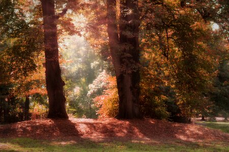 Nature landscape mood photo