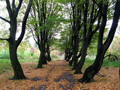 Парк ім. 700-ліття Львова (Львів): Парк ім. 700-ліття Львова (Львів)