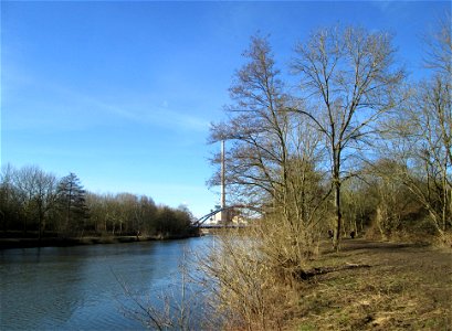 Schwarzerle (Alnus glutinosa) im Naturschutzgebiet „St. Arnualer Wiesen“