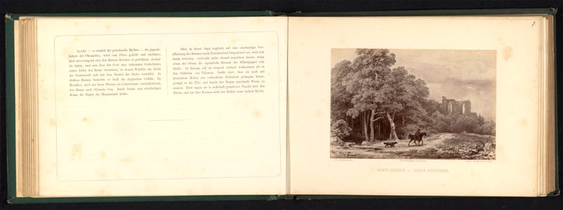 IdentificatieTitel(s): Fotoreproductie van een tekening van een landschap met zwarte elzen, een ruïne en een ruiter. Schwarzerle - Alnus Glutinosa (titel op object)Objecttype: foto reproductie bladzij