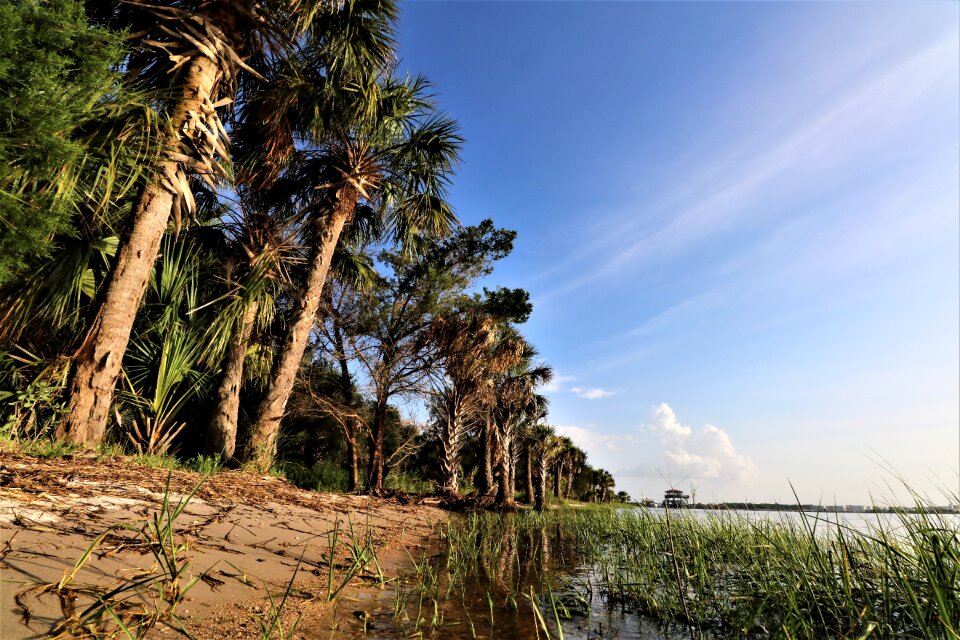 Nature sky beach