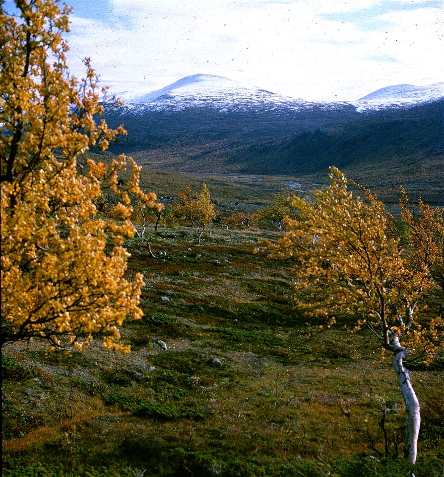 Ladtjovagge i Kebnekaise