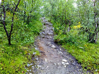 Path in Malla's natural park in Enontekiö, Finland