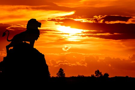 Silhouette sun africa