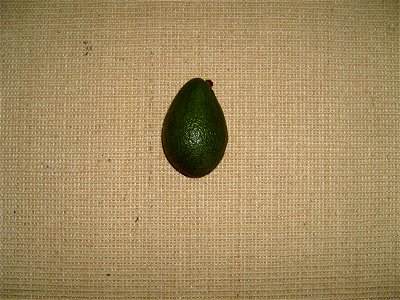 Image title: Avocado, Persea americana Image from Public domain images website, http://www.public-domain-image.com/full-image/flora-plants-public-domain-images-pictures/fruits-public-domain-images-pic photo