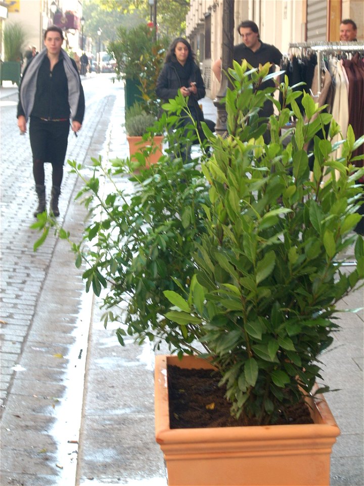 Rue René-Boulanger à Paris