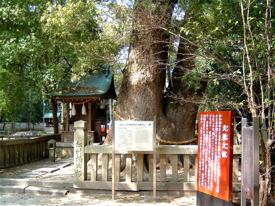Izanagi jingu is the Shinto shrine in Awaji, Hyogo, Japan.