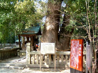 Izanagi jingu is the Shinto shrine in Awaji, Hyogo, Japan.