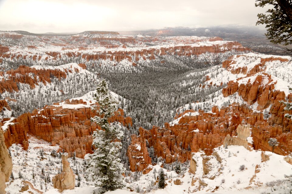 Park utah nature photo