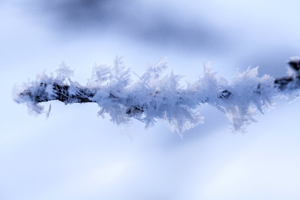 Landscape winter nature