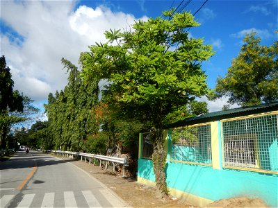 Cambaog Bridge (Talampas, Bustos, Bulacan) General Alejo Santos Highway 14°55'55"N   120°54'25"E Barangays San Pedro 14°56'42"N  120°54'33"E Talampas 14°55'58"N  120°54'24"E Cambaog  14°55'43"N  120°5