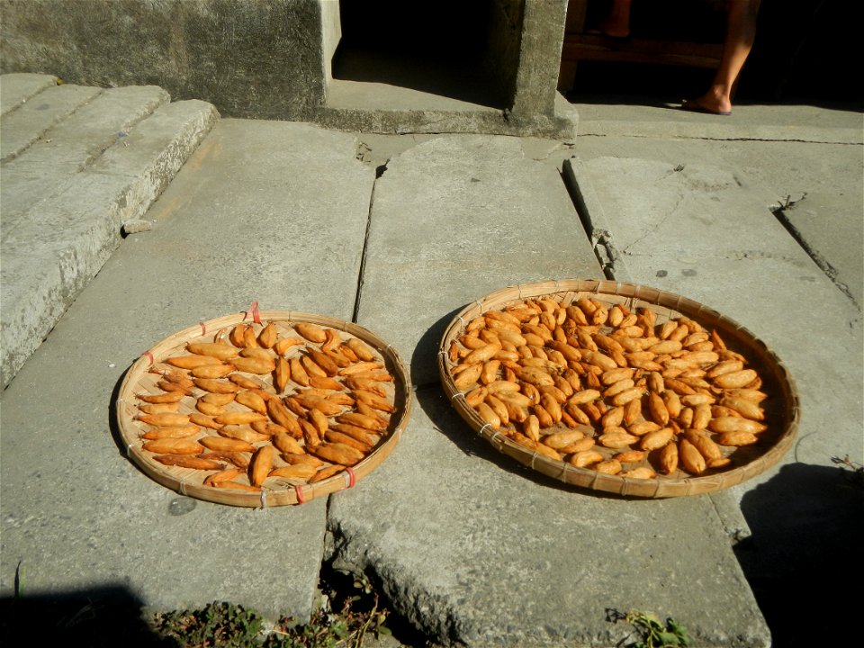 Mariwasa Siam Ceramics, Inc. (San Antonio, Santo Tomas, Batangas) San Antonio, Santo Tomas, Batangas at the foot of Mount Makiling Barangays San Antonio Santo Tomas, Batangas along Maharlika Highway (