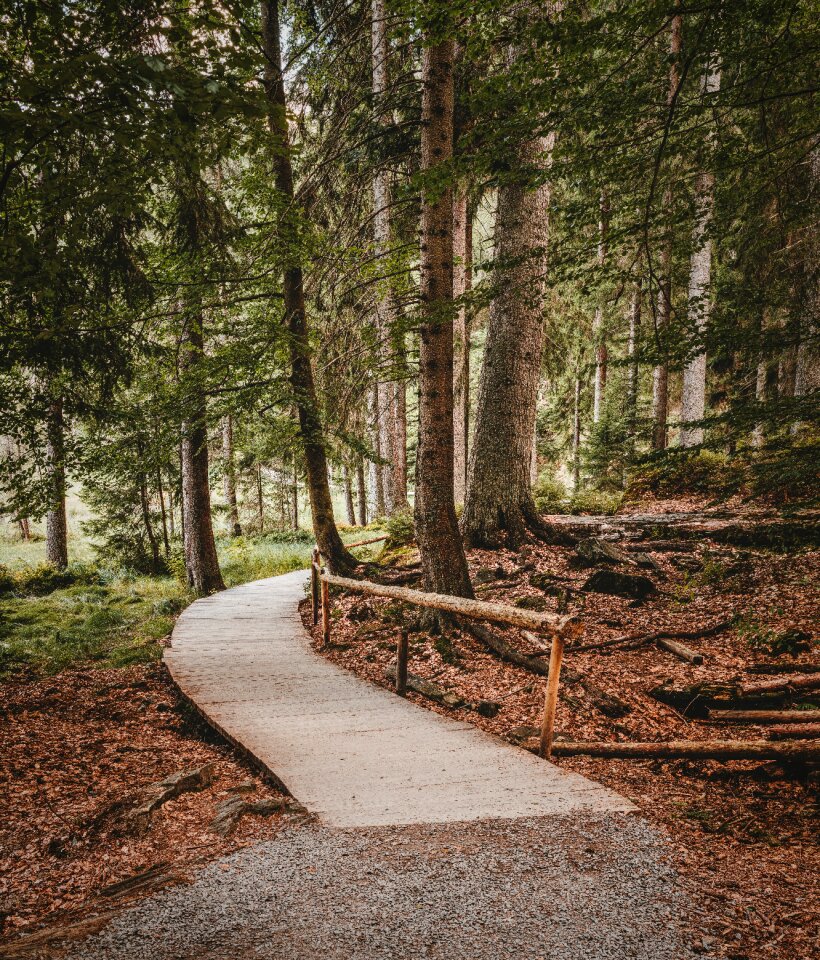 Hiking nature travel