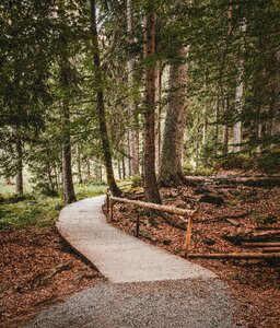 Hiking nature travel photo