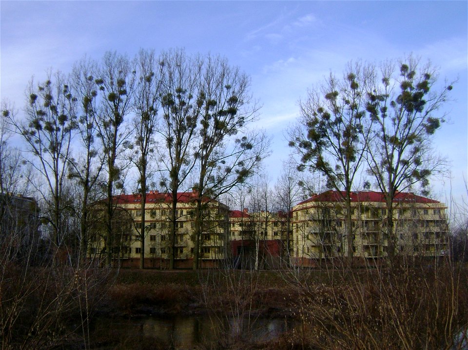 Poland. Konstancin-Jeziorna
