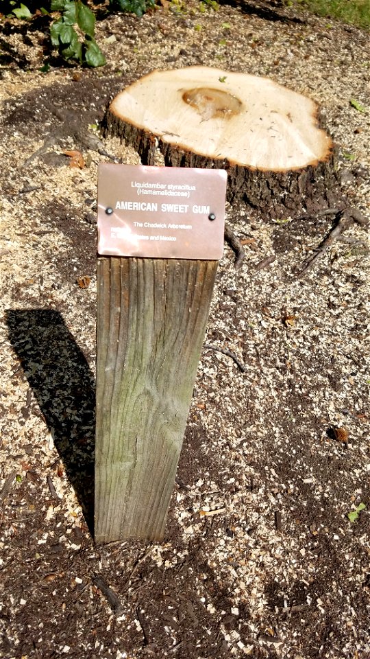 Chadwick Arboretum and Learning Gardens
The Ohio State University
Lane Avenue

Columbus, Ohio