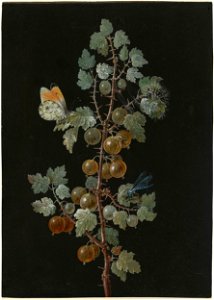 A Branch of Gooseberries with a Dragonfly, an Orange-Tip Butterfly, and a Caterpillar