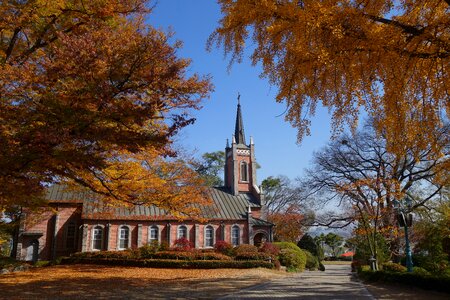 Cathedral in autumn leaves photo