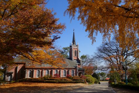 Cathedral in autumn leaves