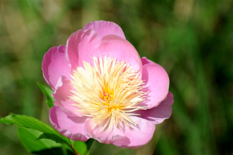 Picture taken in 2009 with a Nikon D300.