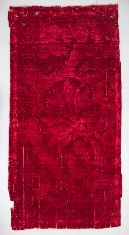 Fragment with Sempervivum tectorum motif