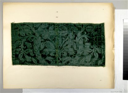 Fragment with Sempervivum tectorum motif