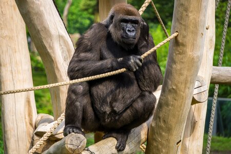 Zoo animal world nature