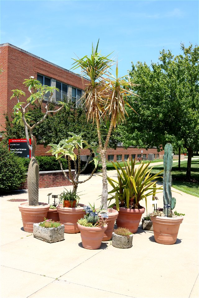 Learning Gardens
The Ohio State University

Columbus, Ohio