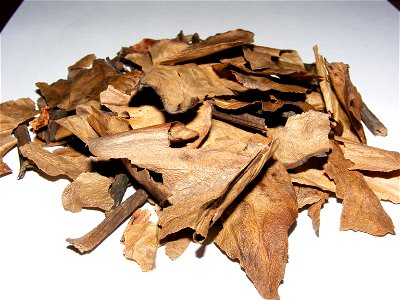 Куски сухих прошлогодних листьев бадана (Bergenia crassifolia), из которых делают "монгольский чай" photo