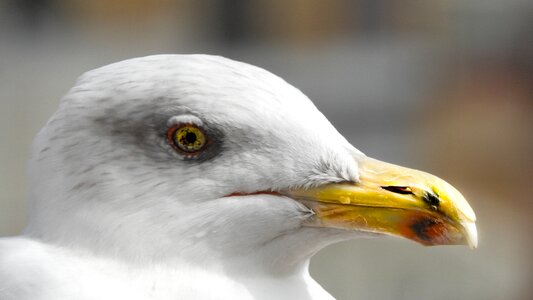 Photography article nature