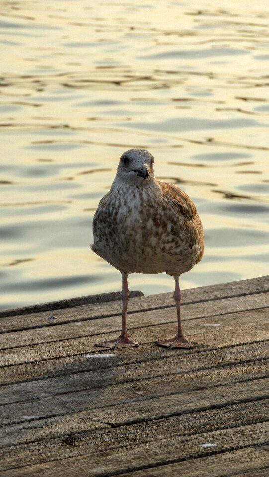 Photography article nature