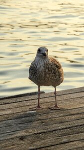 Photography article nature