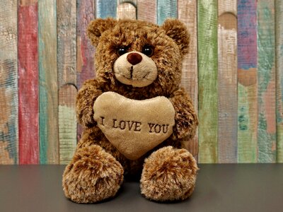 Sweet cute soft toy photo