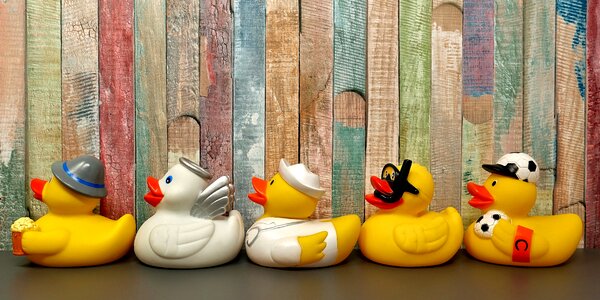 Toys squeak duck ducks photo