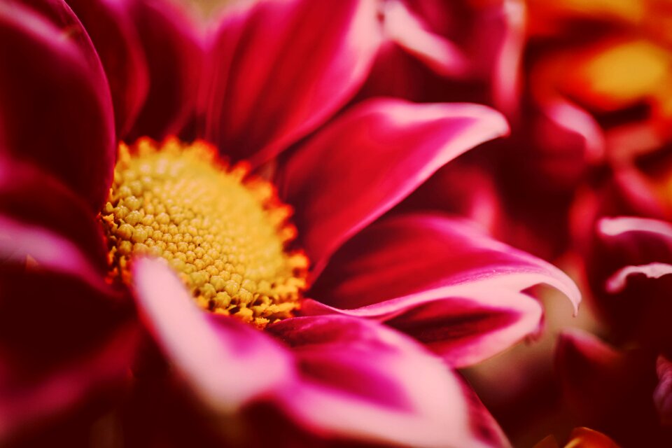 Close up discreet romantic