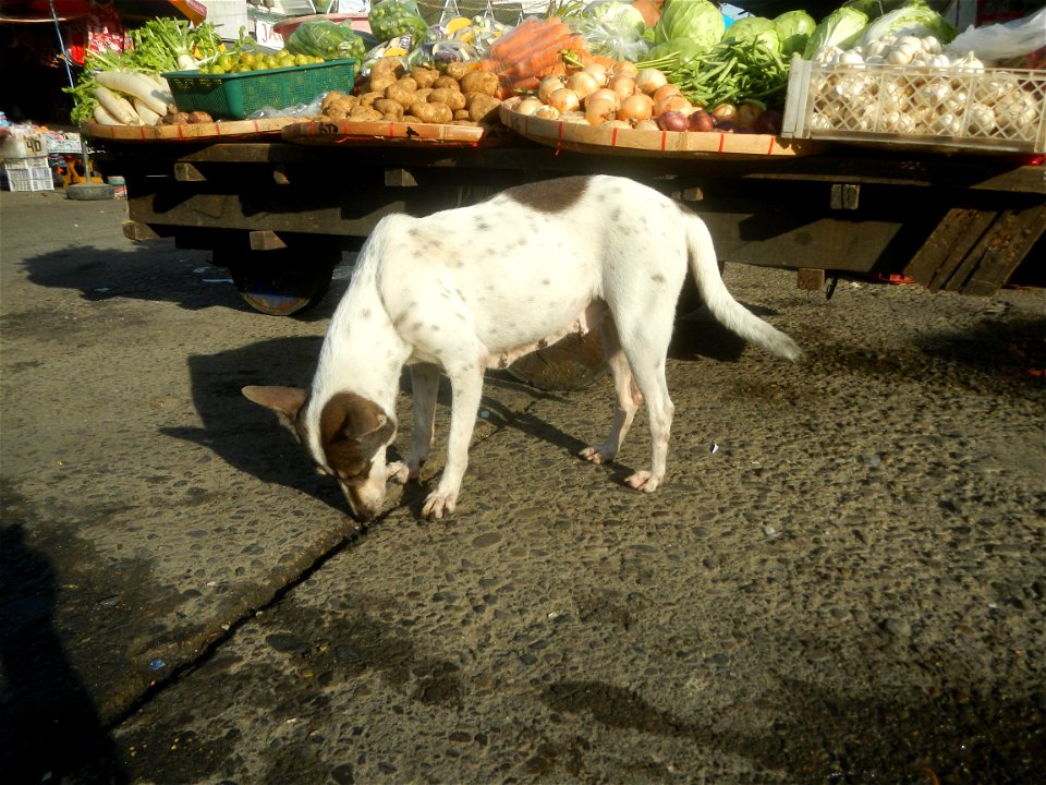 Baliuag Public Market in Poblacion, Baliuag, Bulacan Timeline of the 2020 coronavirus pandemic in the Philippines  2020 coronavirus pandemic in the Philippines Bayanihan to Heal as One Act (RA 11469) 