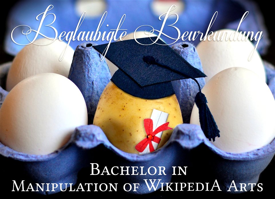 A graduated potato in an egg carton; the German title “Beglaubigte Beurkundung” means “Certified authentication”