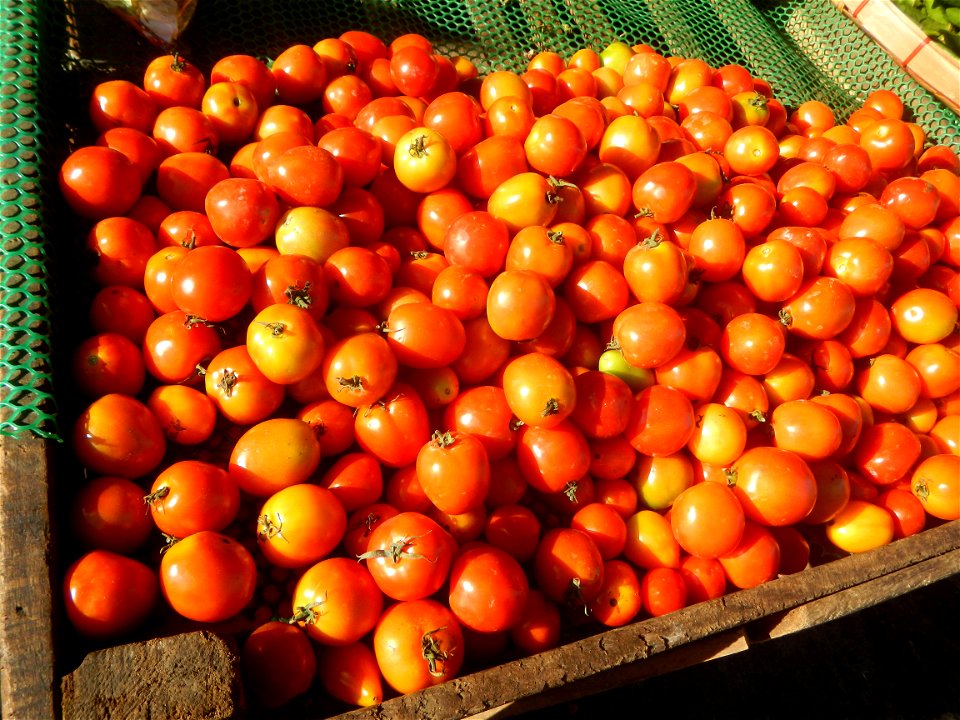 Baliuag, Bulacan Public Market in  Barangay Poblacion 14°57'17"N 120°54'2"E Baliuag, Bulacan, Bulacan province (Note: Judge Florentino Floro, the owner, to repeat, Donor Florentino Floro of all these 
