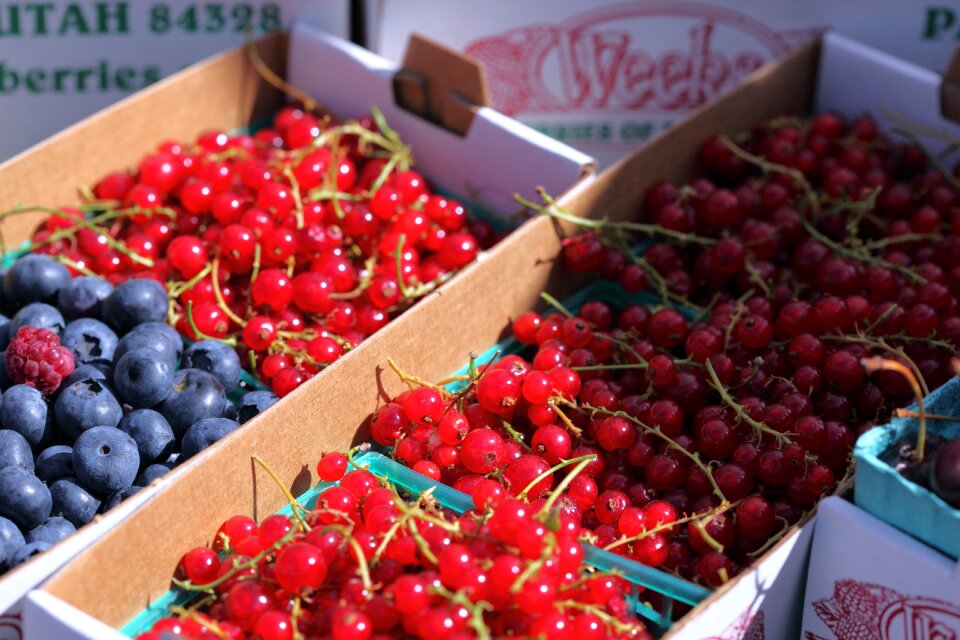 Farmer's market entrepreneurship farm to table