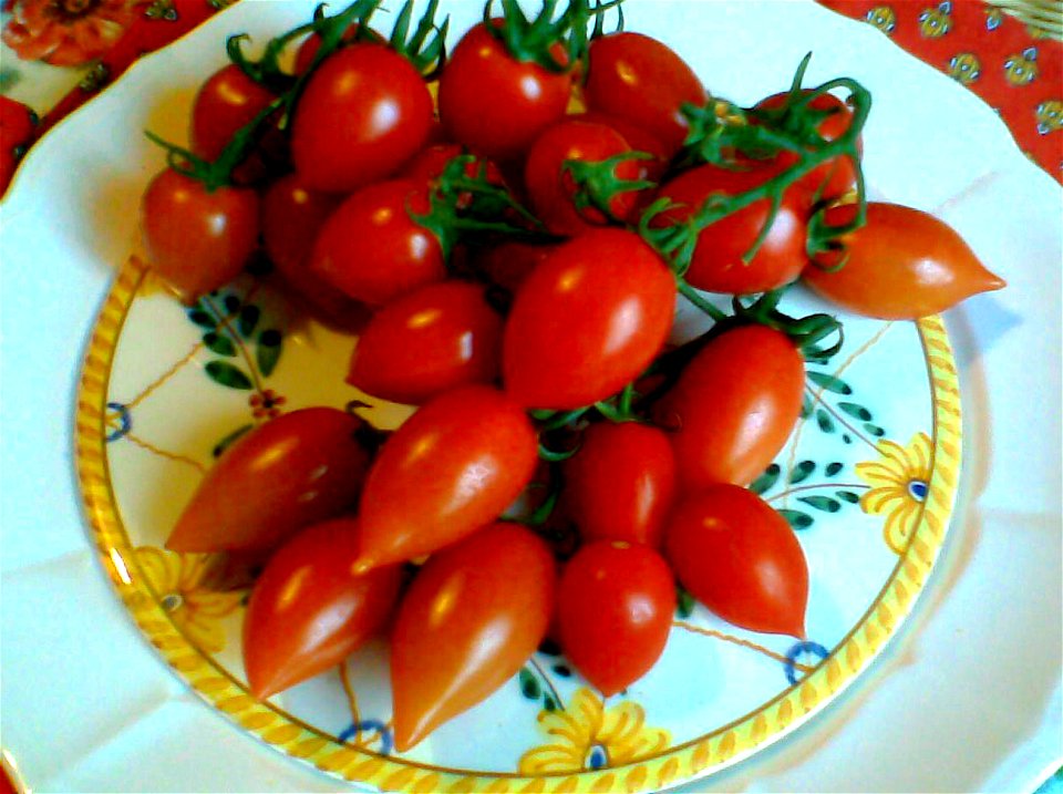 Pomodori "Pizzutello", varietà "Snack", di produzione siciliana. Dai banchi di un supermercato di Firenze.