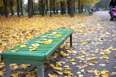 Ornamental plants park