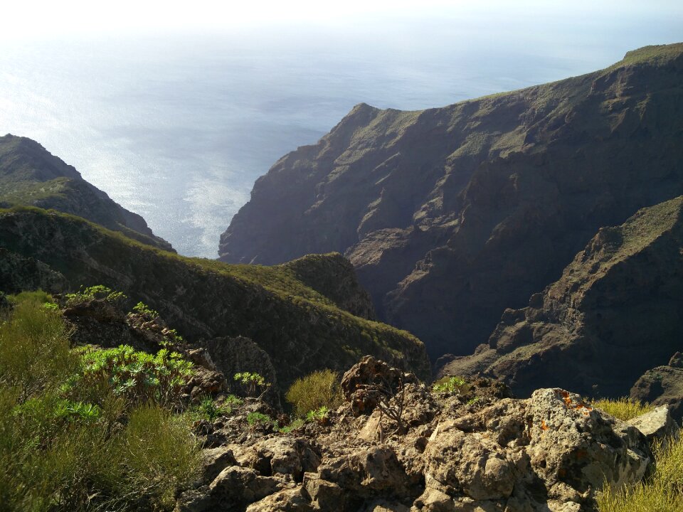 Sea cliffs tenerife