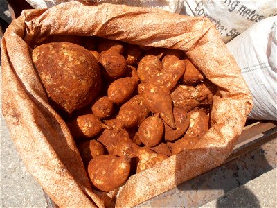 These kind of root veges, "Boniato" (Ipomoea batata), is very common in Cuba, where potatoes are rather rare. photo