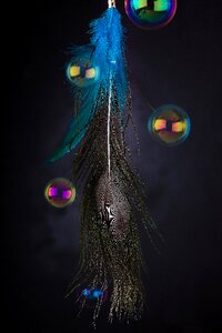 Book cover nature dark