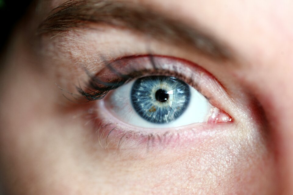 Eye lashes portrait skin